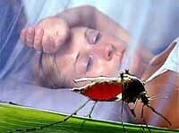 Малярия не только болезнь, но и наука