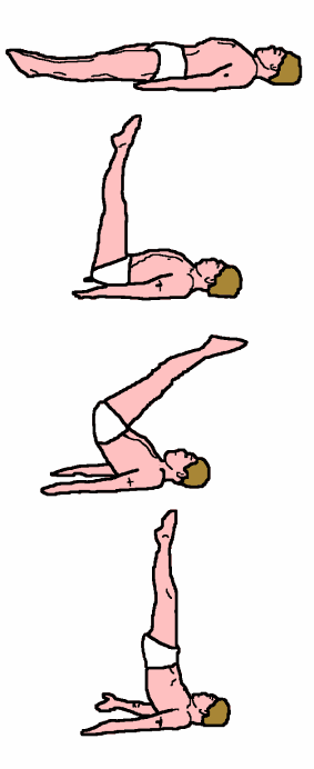 Упражнение березка
